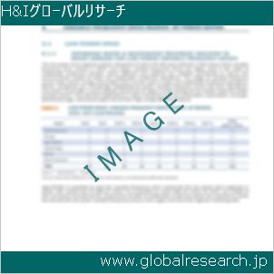 グローバルリサーチ調査レポートのイメージ